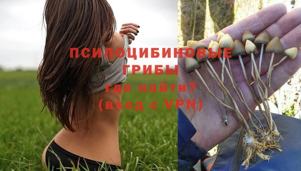 мдпв Майский