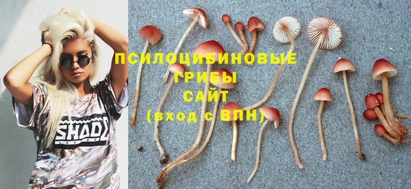 мдпв Майский