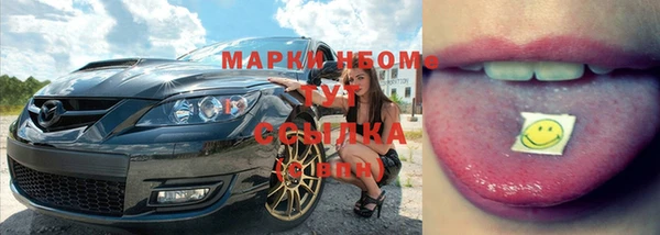 мдпв Майский