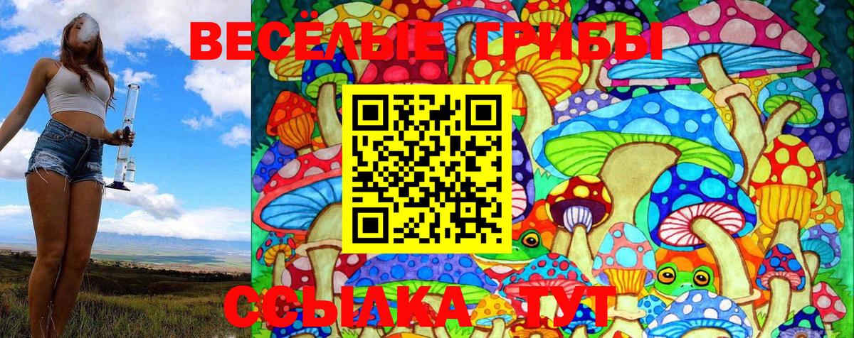 Галлюциногенные грибы прущие грибы  Галлюциногенные грибы GOLDEN TEACHER  Брянск 