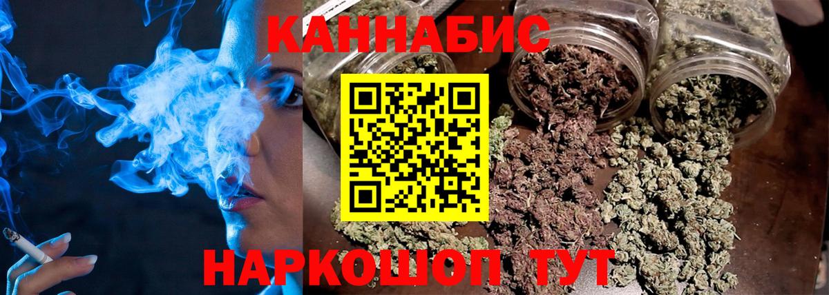 Бошки Шишки план  Конопля сатива  Брянск  МАРИХУАНА White Widow 